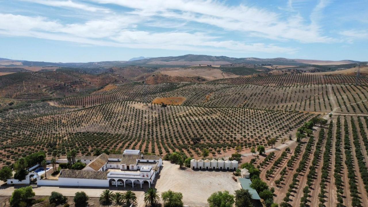 Cortijo Donana Villa La Puebla de Cazalla Exterior foto