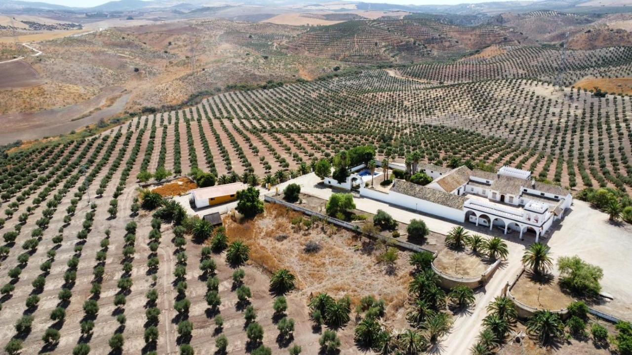 Cortijo Donana Villa La Puebla de Cazalla Exterior foto