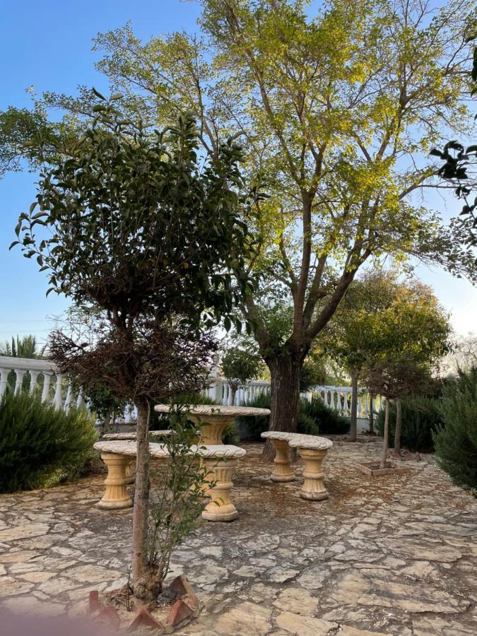 Cortijo Donana Villa La Puebla de Cazalla Exterior foto